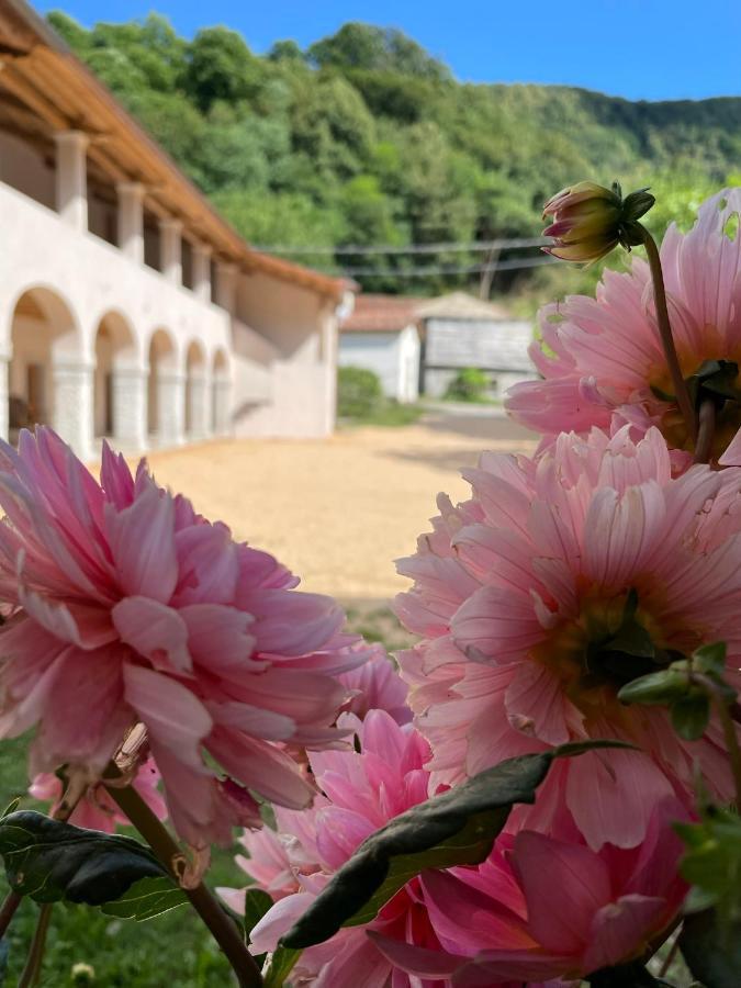Agriturismo Il Bosco Camere Vittorio Veneto Luaran gambar